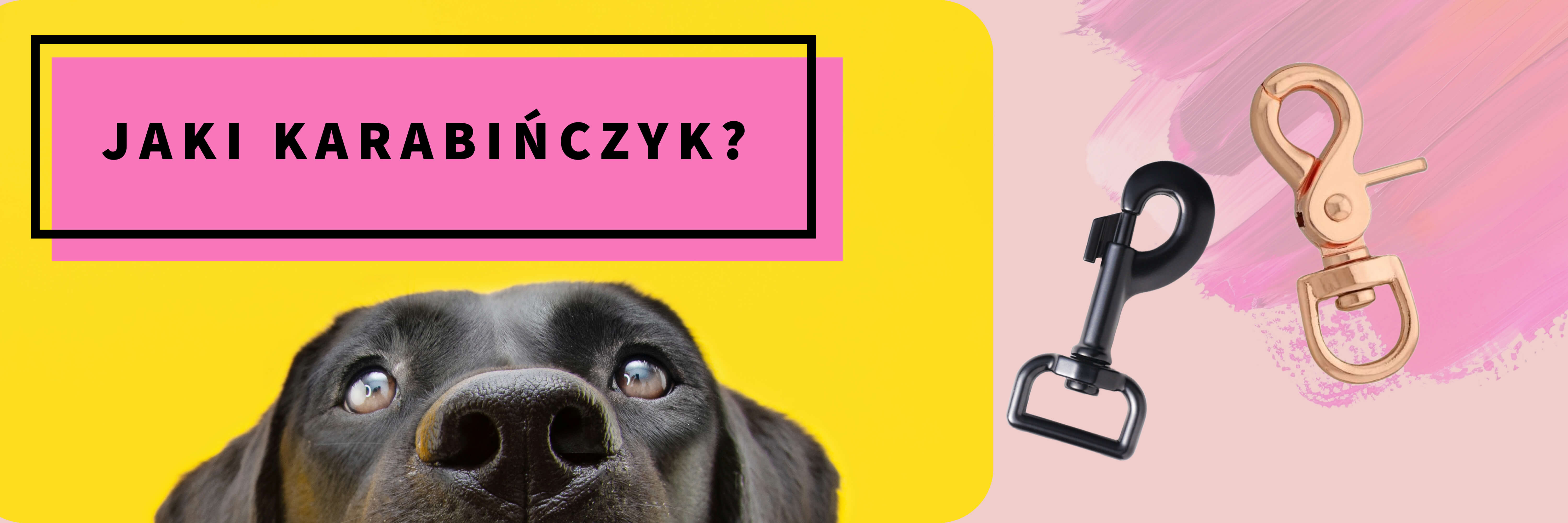 Prosty karabińczyk kontra karabińczyk spustowy: Wybór odpowiedniego karabińczyka do smyczy dla psa