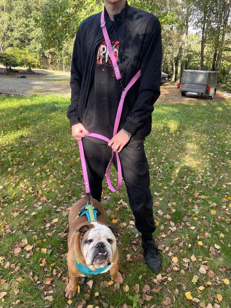 Smycz przepinana pastelowy fiolet ze srebrnymi okuciami prezentowana na modelu wraz z psem - bulldog Kleofas